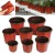 Color pp plant seedling pot cheap plastic seed starter pots for flower