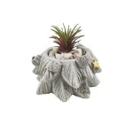 Country primitive decoration Christmas tree shape scullent flower pot planter