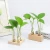 Import Crystal Glass Double Test Tube Vase in Wooden Stand Flower Pots from China