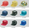 Custom 3d embroidery fitted cap snapback cap