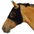 Import Custom Horse Fly Mask with Ears from China