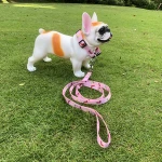 Custom Pet Product Heat Transfer Sublimation Logo Printed Polyester Nylon Adjustable Cat Dog Collar/ Dog Leash Set