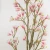 Import Customized Artificial Magnolia Flower For Interior Decoration Plastic Plant from China