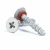 Import Customized High-Low Thread Forming/Rolling/Tapping Screws from China