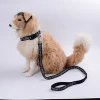 Customized Logo and Printing Martingale Heavyduty Nylon Pet Dog Collar and Double Handle Leash Set