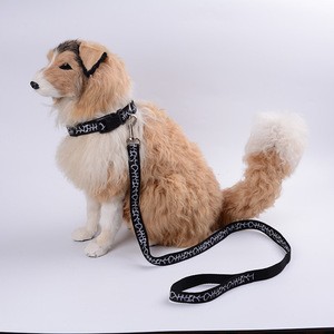 Customized Logo and Printing Martingale Heavyduty Nylon Pet Dog Collar and Double Handle Leash Set