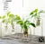 Import Decorative hydroponic vase glassware Dried flower wrought iron flower shelf glass test tube from China