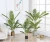 Different shaped artificial palm tree Areca Palm faked faux plant with pot for home decor