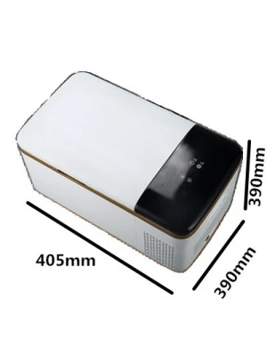 Digital Display Portable Mini Car Refrigerator