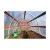 Import direct factory high strength Agricultural Greenhouse large size plastic film tomato greenhouse from China