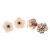 Import DQed01861c Wholesale Fashion Abalone Natural Sea Shell Flower OEM Earrings Pearl Summer Jewelry from China