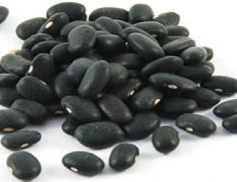 Dried Black Kidney Beans / Black Beans