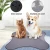 Import Easy to clean soft comfortable pet multifunctional anti slip pet pet dog floor mat from China