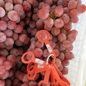 Export superior seedless fruits grapes fresh red globe seedless grapes