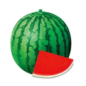 F1 Hybrid Seedless Watermelon Seeds for Growing
