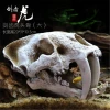 Factory high quality  saber-toothed tiger skull  model