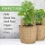 Import FACTORY MADE.1-300 Gallons jute garden planter grow bag. from China