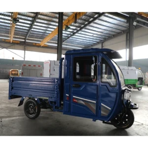 Factory Semi-enclosed Van Type 3 Wheels Electric Transport Pickup Truck 60V 800W 1000W Household Tricycle Electric Cargo Truck