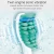 Import Factory Supplements Automatic Electric Toothbrush Equipped With Two Brush Heads Toothbrush from China