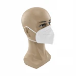 Fast Delivery High Quality CE 2834 EN149 2001 FFP2 Mask Dust Particulate Respirator Custom Facemask