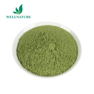 Feed Additive Moringa Leaf Powder Extract Moringa seed Extract Powder
