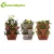 Import Food-grade PP hanging basket for vertical garden tower from China