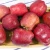 fresh apples exporters High quality fresh red delicious fruit huaniu apples