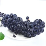 Fresh Black Grapes / china Seedless Grapes / Exporter Fresh Grapes
