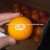 Import Fresh Citrus Fruits, Valencia Oranges &amp; Lemons high quality from Egypt
