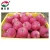 Import fresh fruit red Fuji apple with good taste from Gansu China from China