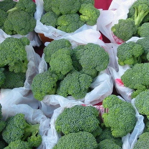 Fresh Green Broccoli for sale