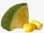 Import Fresh High Quality Seasonal Jackfruit from Bangladesh from Bangladesh