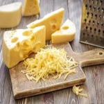 Fresh mozzarella cheese / mozzarella cheese blocks