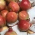 Import Fresh new crop  pomegranate for sale from China