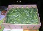 Fresh okra for sale
