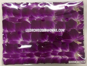 Fresh Orchid Flower Loose Bloom Thai Orchid Cut Flower- Orchid for sale, Try us!!