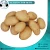 Import Fresh Potatoes for Sale from Egypt
