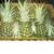 Import FRESH QUEEN PINEAPPLE ,fresh md2 pineapple from South Africa