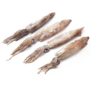 Fresh raw material superior delicious seafood frozen baby squid