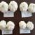 Import Fresh White Garlic Price/Fresh Peeler Garlic Bulk In Indonesia from China