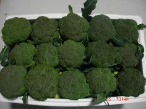 frozen broccoli farm selling cheap price fresh broccoli from China