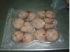 frozen mahi mahi portions wholesale frozen seafood coryphaena hippurus