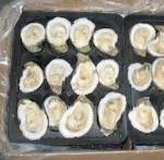 Frozen Oyster Meat,Frozen Shellfish , Half Shell Mussel