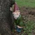 Import Funny Resin Figurines Naughty Gnome Decoration Statue Home Garden Outdoor Ornaments from China