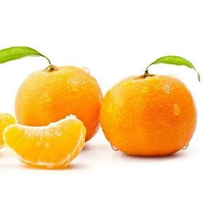 FUYI Style Fresh Honey Nanfeng Mandarin Orange Citrus Fruit