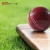 Import GoActive Classic Hand Stitched Soft Leather Cricket Balls from China