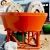 Gold Ore Wet Pan Mill Grinding machine Stone ore milling machine for copper,gold
