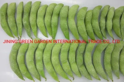 Good Quality IQF Frozen Fresh Green Soy Bean