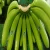 Import Green Premium Fresh Cavendish Bananas.. from South Africa