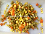 HACCP,ISO,IFS certification canned vegetables,mixed vegetables in glass jar